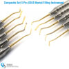 5-piece gold dental composite filling instrument set for precise restorative procedures