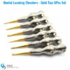 Set of 6 dental luxating root elevators with round patterned handles and gold tips