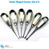 Set of 6 dental winged elevators with ergonomic handles for controlled tooth elevation