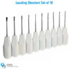 Set of 10 luxating elevators with lightweight plastic handles for precise tooth extraction