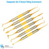 Set of 6 blue-handled dental composite instruments with sterilization cassette for restorative procedures
