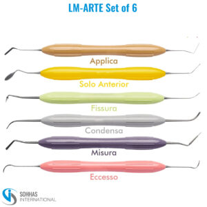 LM-ARTE composite instrument set of 6 with ergonomic silicone handles for aesthetic restorations