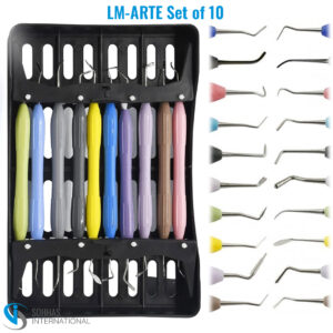 LM-ARTE composite instrument set of 10 with ergonomic silicone handles and black sterilization cassette for aesthetic dentistry